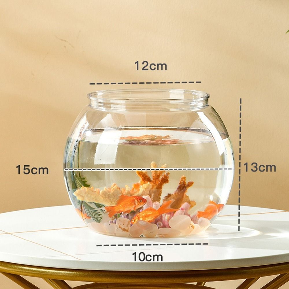 Live Fish Aquarium - Home Decor Clear Transparent Round Fish