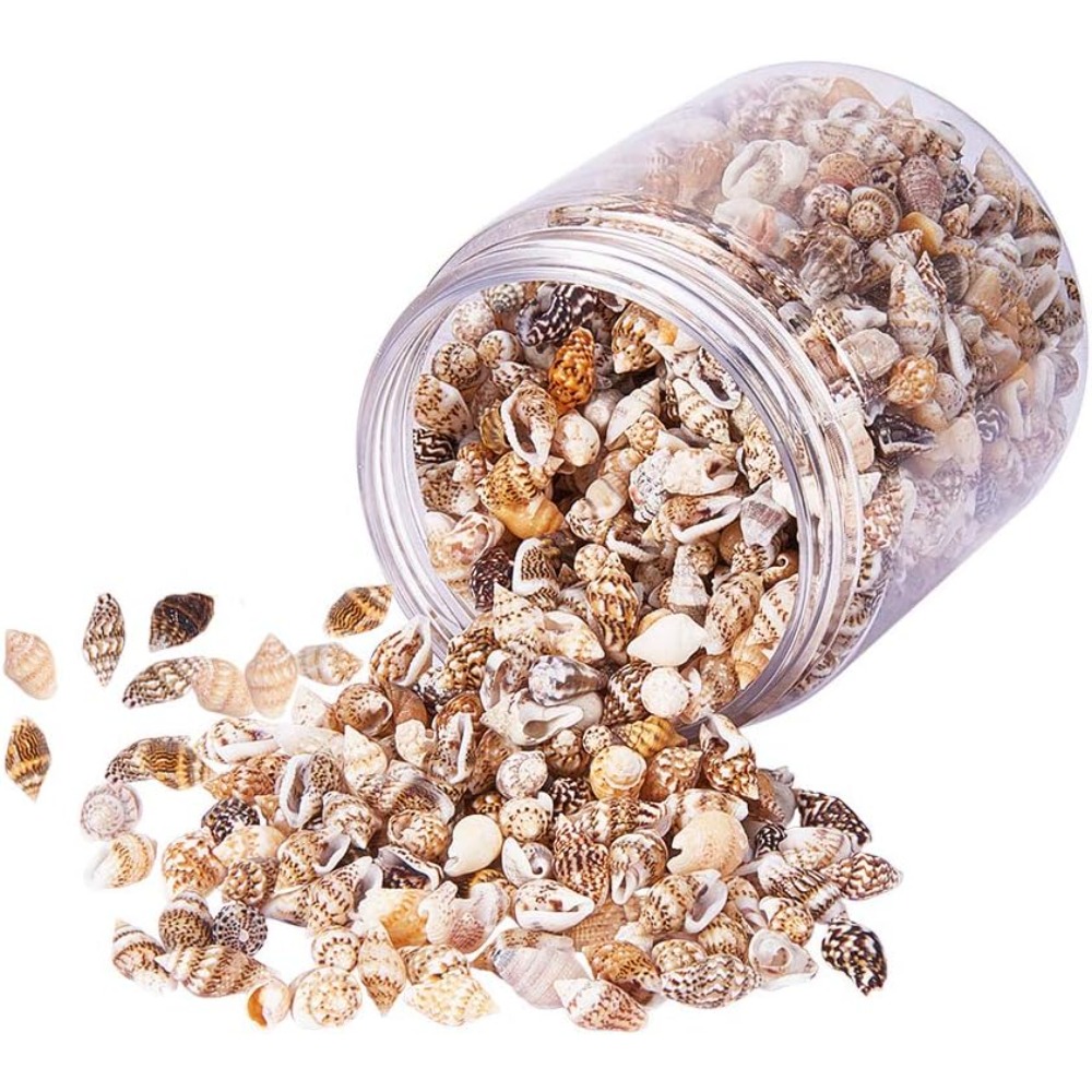 Aquarium Fish Names - About 1500pcs Mixed Ocean Sea Shells