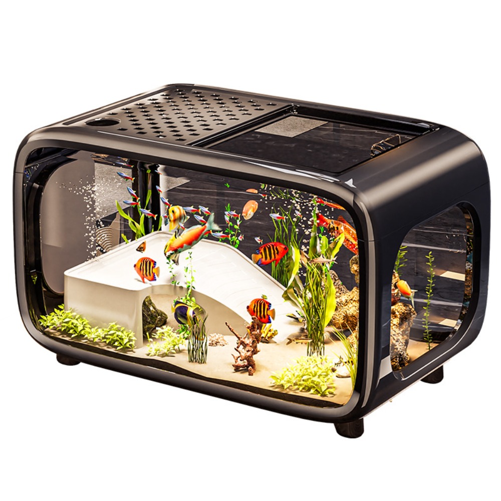 Live Fish Aquarium - Creative Transparent Ecological Fish Tank with