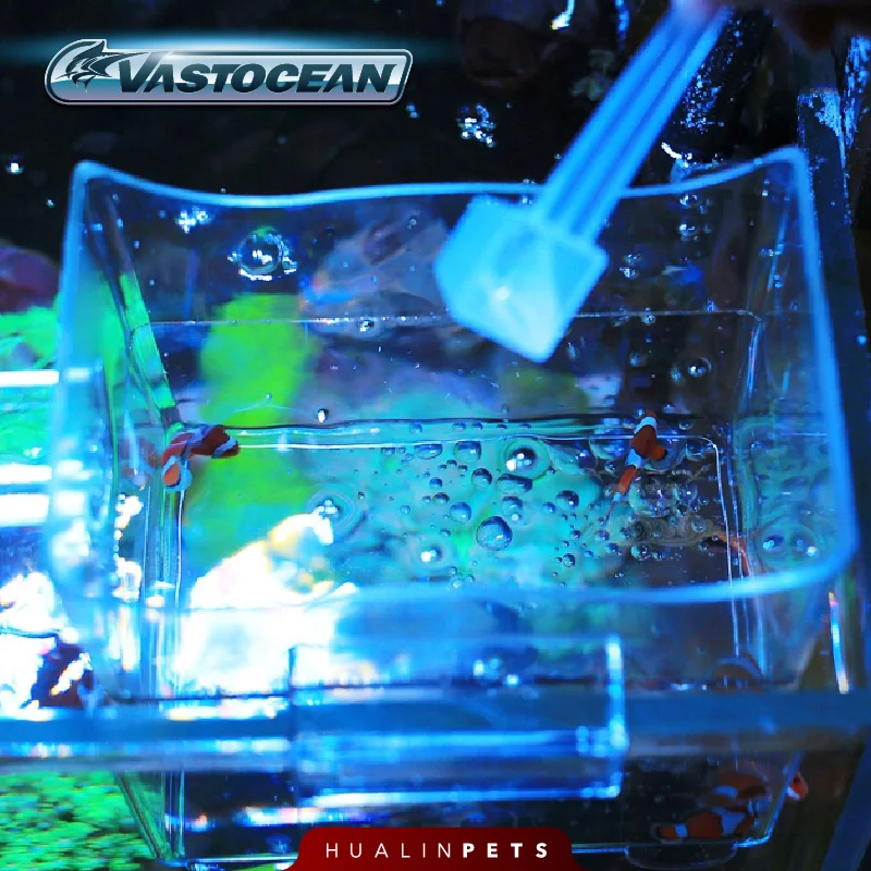 Vastocean Aquarium Multifuncti - огляд і ціна Aquarium Fish Jar