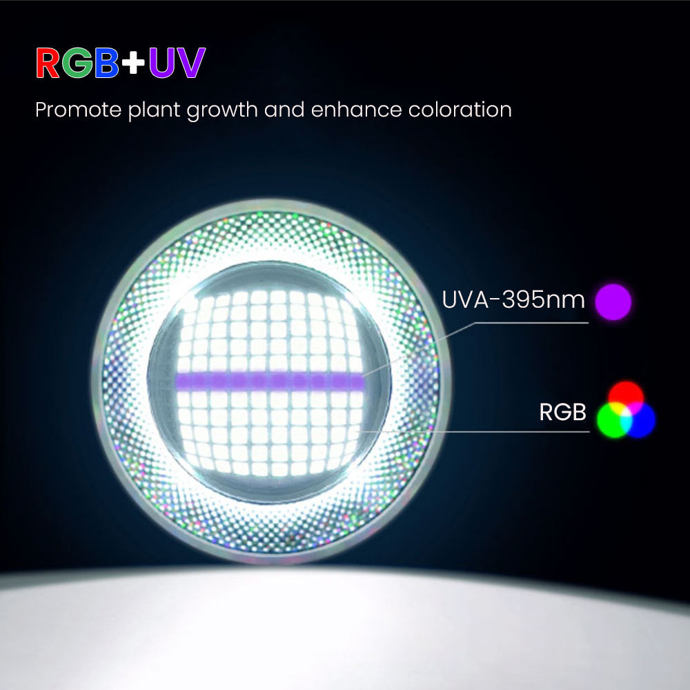 Full Spectrum Bluetooth 3.0 Ap - огляд і ціна Aquarium Fish Light