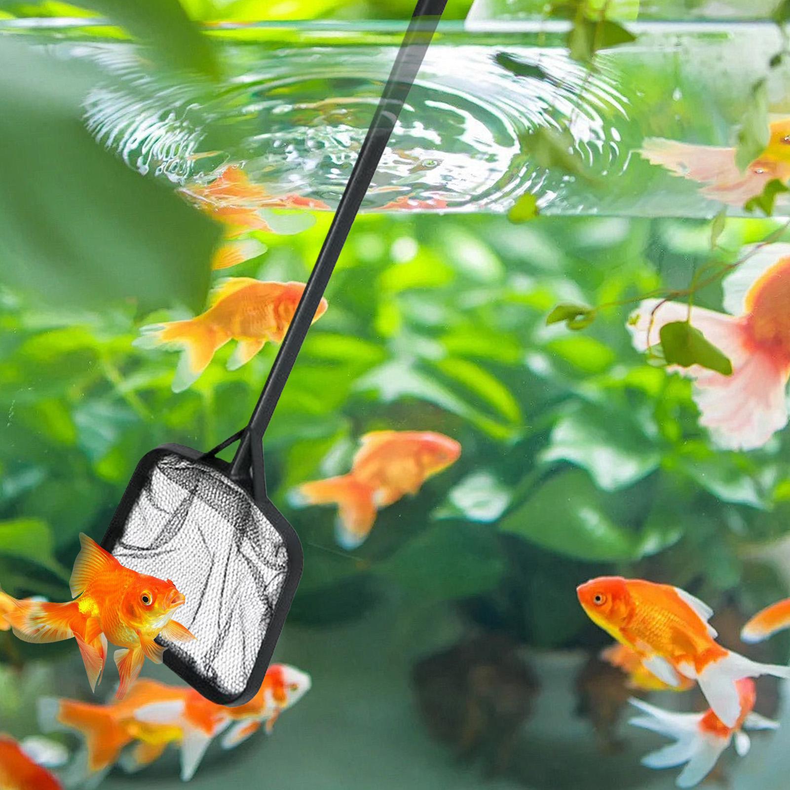 Pool Nets for Cleaning Portabl - огляд і ціна Aquarium Fish Items