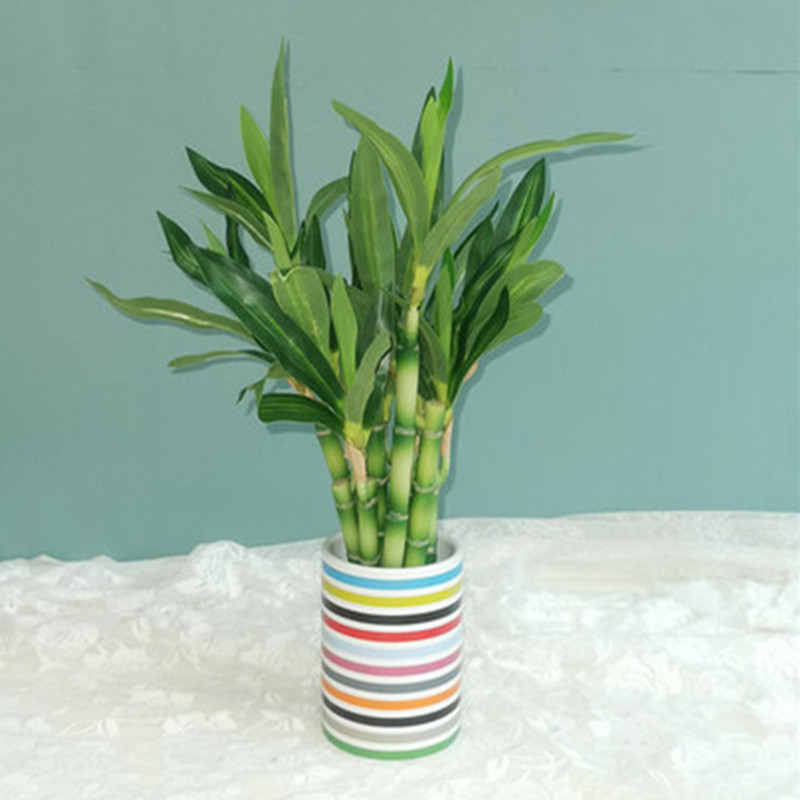 New 40cm rFtificial Lucky Bamb - огляд і ціна Aquarium Fish Items
