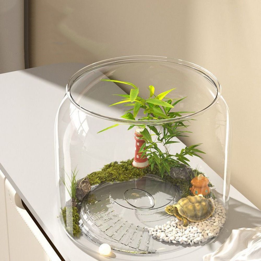 Transparent Round Fish Tank An - огляд і ціна Live Fish Aquarium