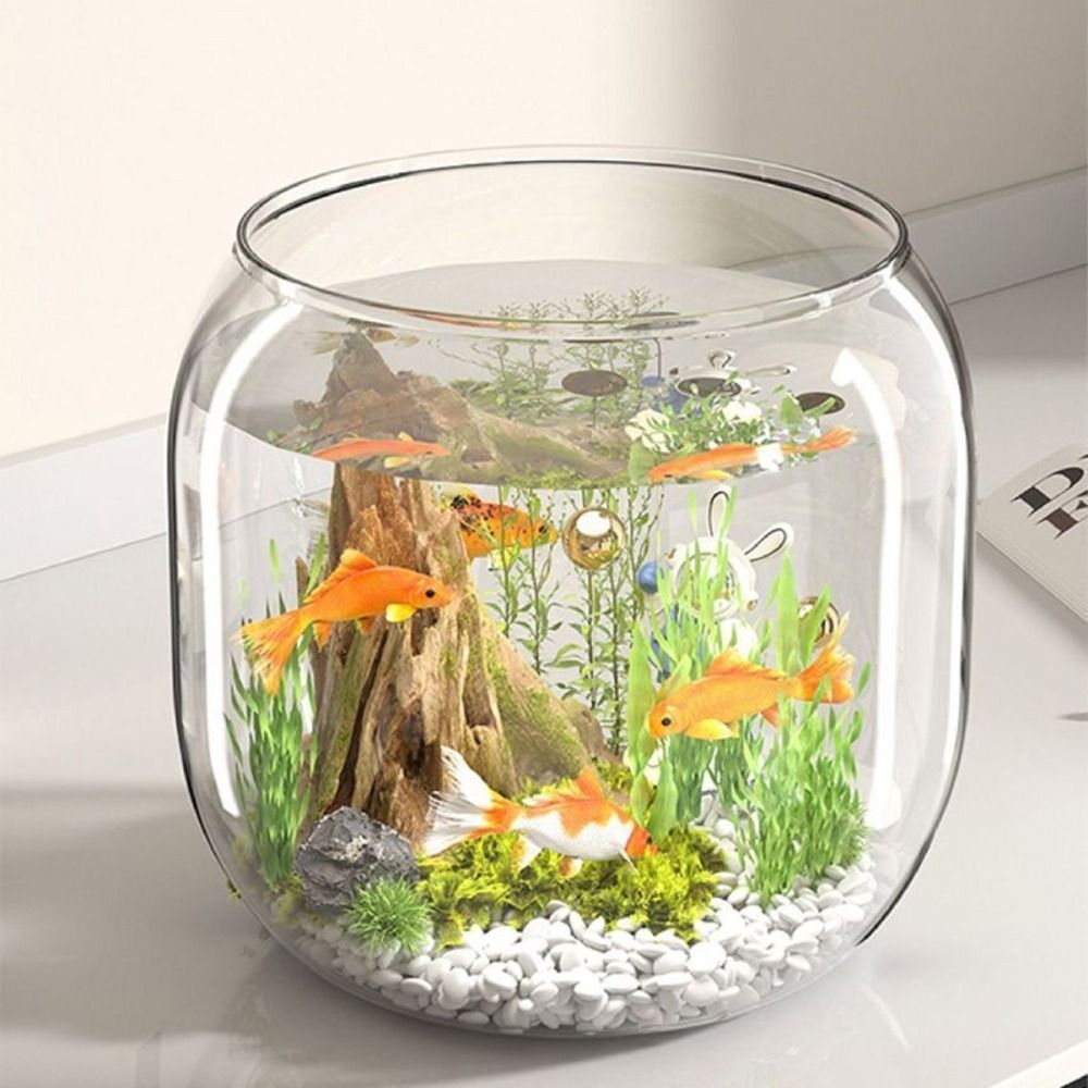 Transparent Round Fish Tank An - огляд і ціна Live Fish Aquarium