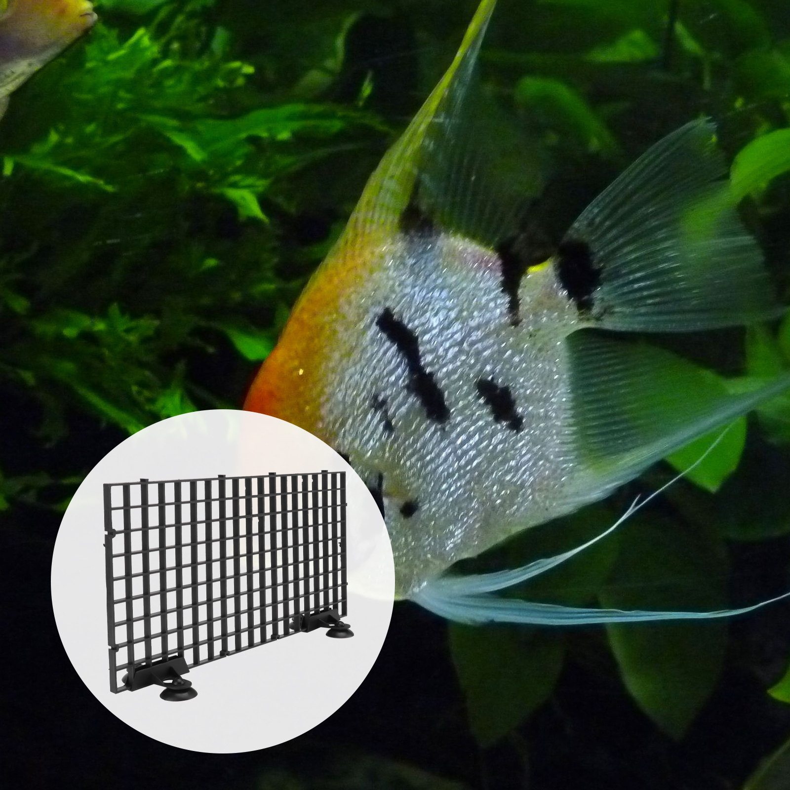 Fish Breeder Net Big Size Blac - огляд і ціна Aquarium Fish Big Size