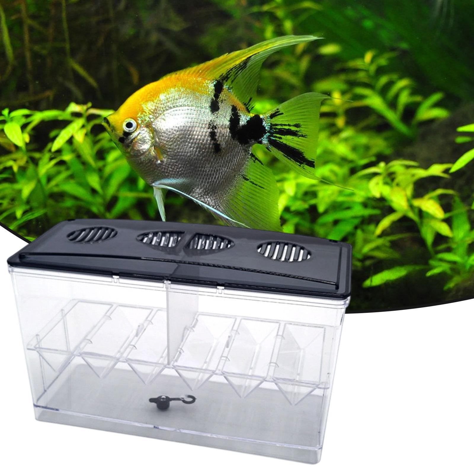 Floating Fish Breeding Isolati - огляд і ціна Aquarium Fish Jar