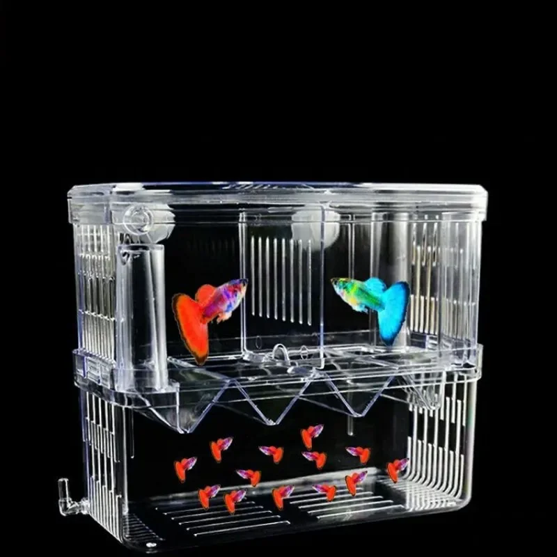 Fish Breeding Isolation Box S/ - огляд і ціна Xl Aquarium Fish