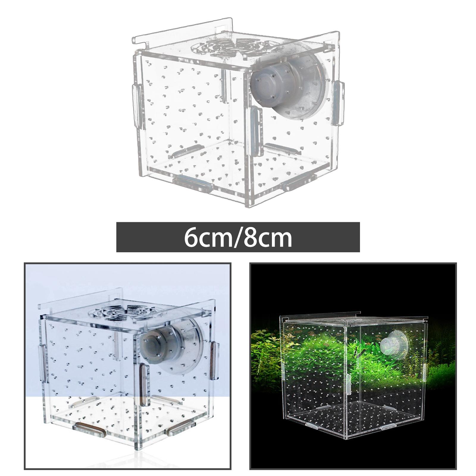 Fish Breeder Box Clear Durable - огляд і ціна Aquarium Fish Jar