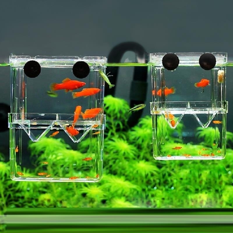 Multifunctional Fish Aquarium  - огляд і ціна Aquarium Fish Jar
