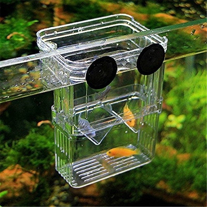 Multifunctional Fish Aquarium  - огляд і ціна Aquarium Fish Jar