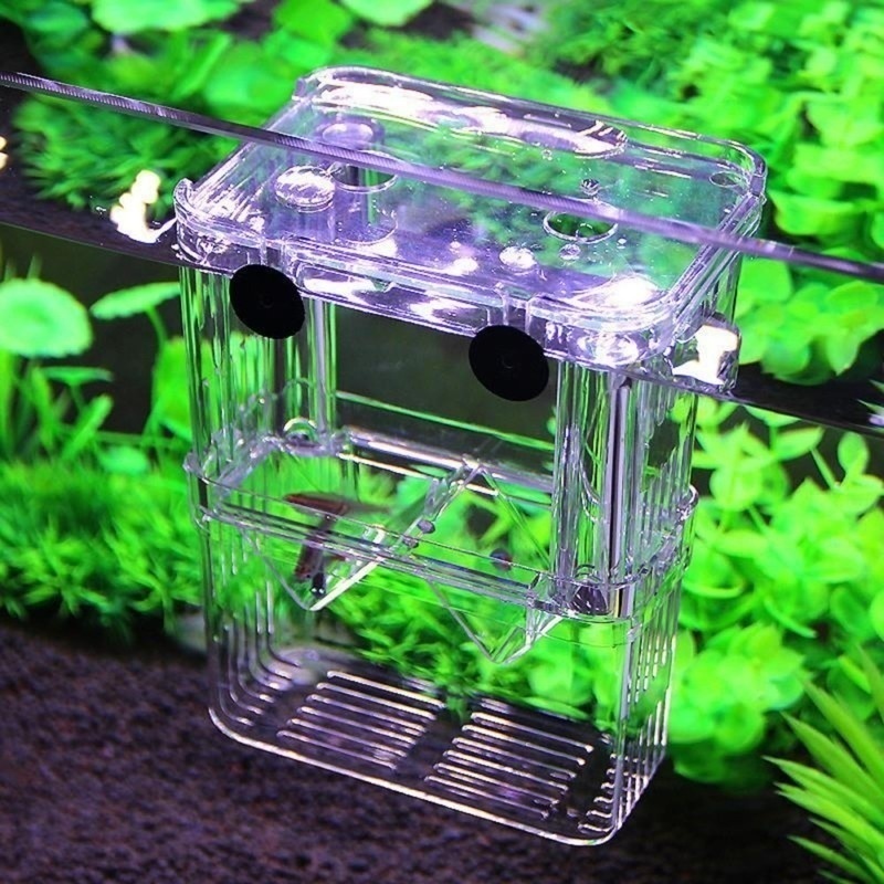Multifunctional Fish Aquarium  - огляд і ціна Aquarium Fish Jar