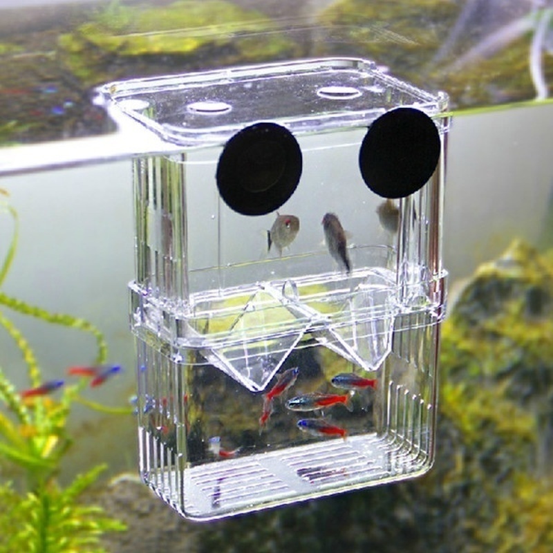Multifunctional Fish Aquarium  - огляд і ціна Aquarium Fish Jar