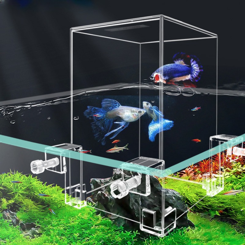 Creative Aquarium Tanks Negati - огляд і ціна Aquarium Fish Jar