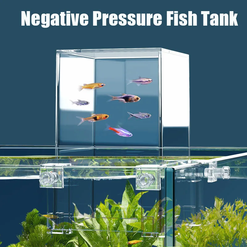 Creative Aquarium Tanks Negati - огляд і ціна Aquarium Fish Jar