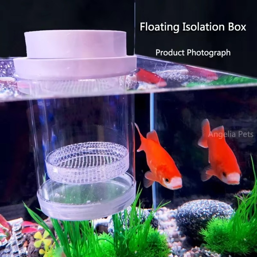 Plastic Floating Fish Breeding - огляд і ціна Aquarium Fish Jar