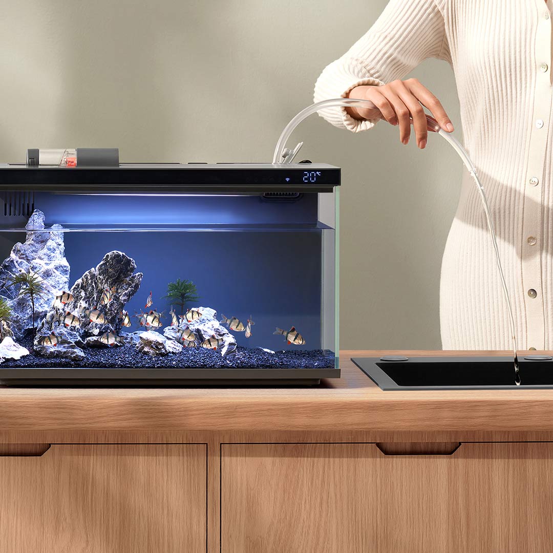 Xiaomi Mijia Smart Fish Tank M - огляд і ціна Aquarium Fish Items