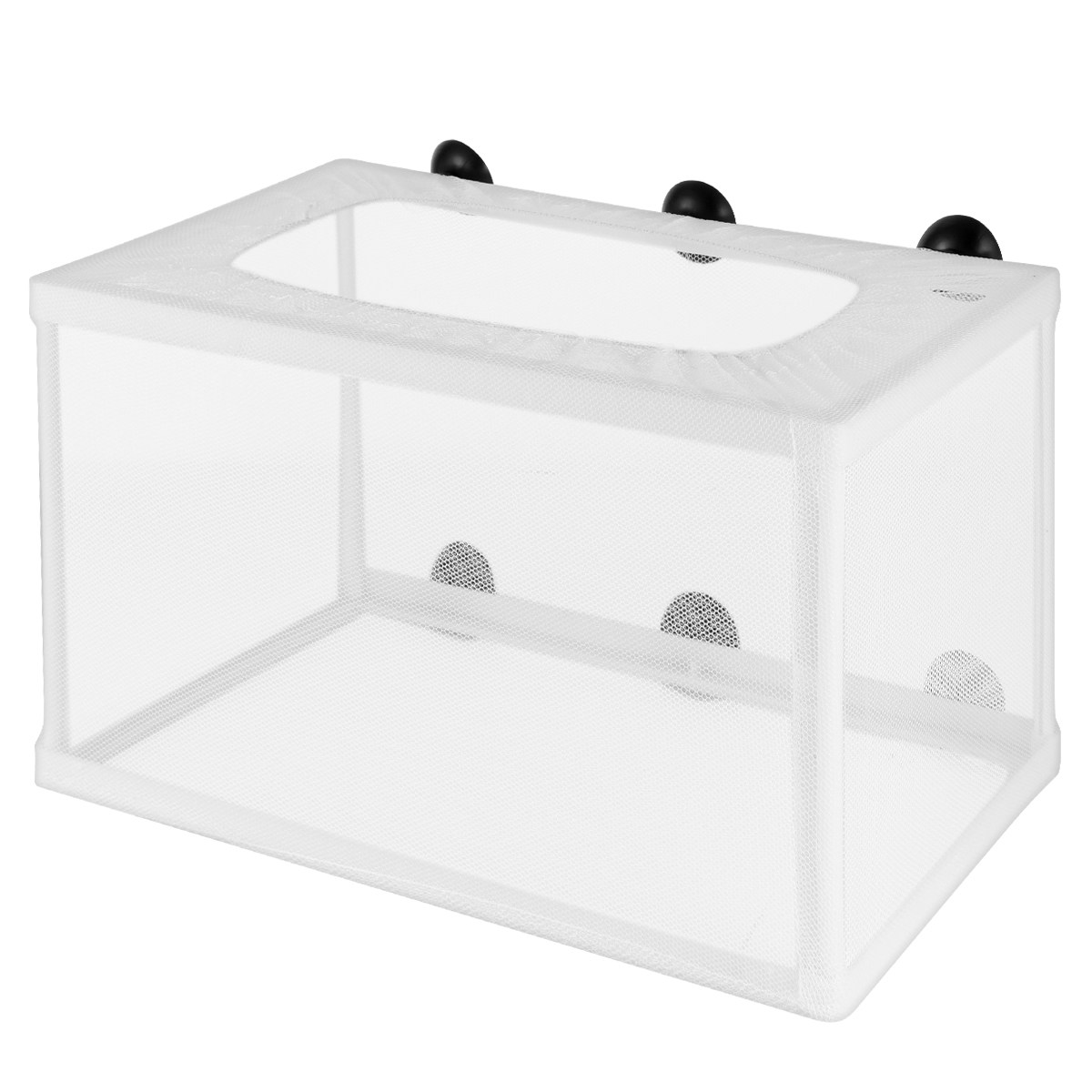 Fish Net Hatchery Aquarium Inc - огляд і ціна Aquarium Fish Big Size