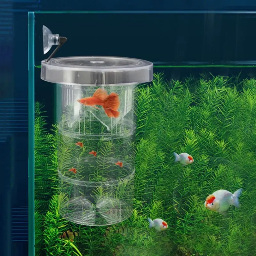 Acrylic Floating Fish Breeding - огляд і ціна Aquarium Fish Jar