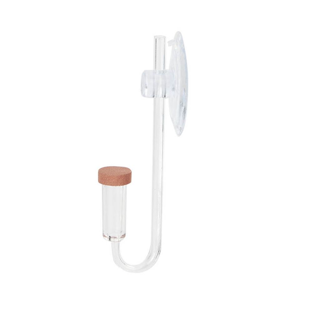 Acrylic Mini Fish Tank Live Pl - огляд і ціна Live Fish Aquarium