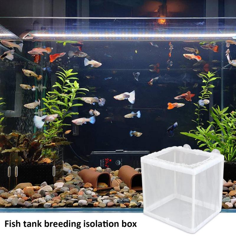 Fish Breeder Box with Suction, - огляд і ціна Aquarium Fish Jar