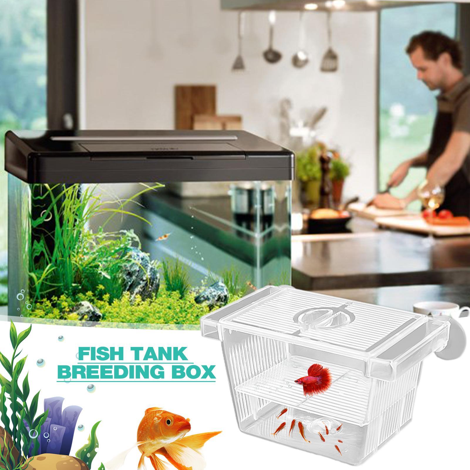 Aquarium Hatchery Acrylic Isol - огляд і ціна Aquarium Fish Jar