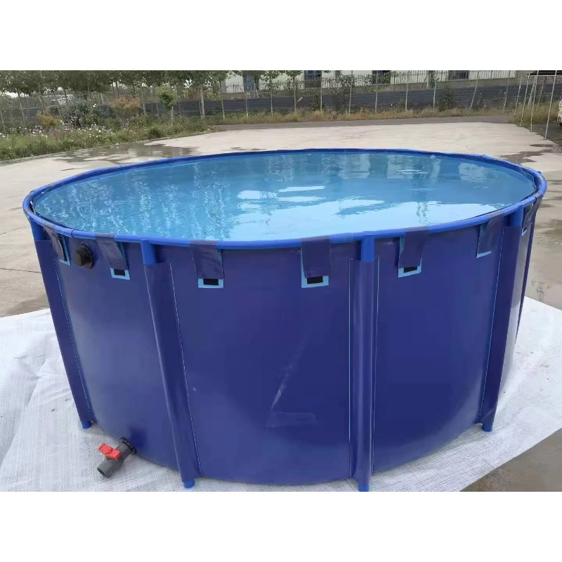 Wholesale Custom Outdoor Large - огляд і ціна Aquarium Fish Big Size