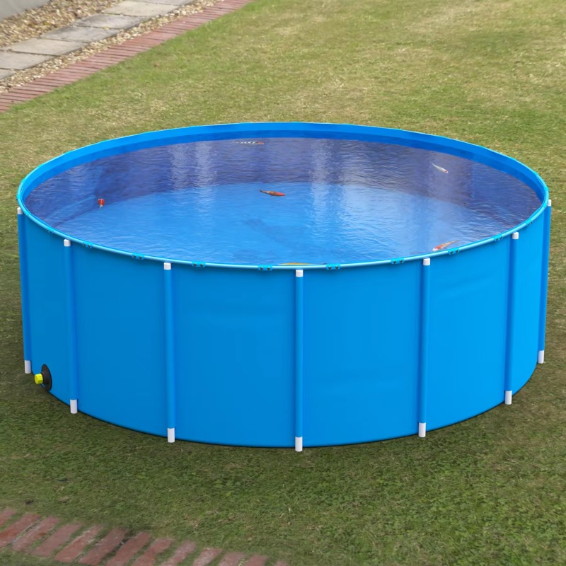 Wholesale Custom Outdoor Large - огляд і ціна Aquarium Fish Big Size