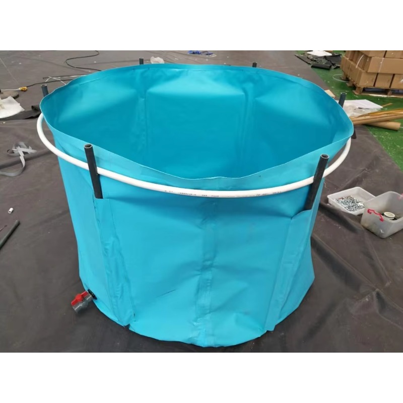 Wholesale Custom Outdoor Large - огляд і ціна Aquarium Fish Big Size