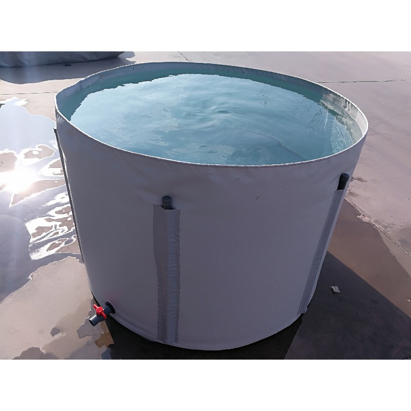 Wholesale Custom Outdoor Large - огляд і ціна Aquarium Fish Big Size