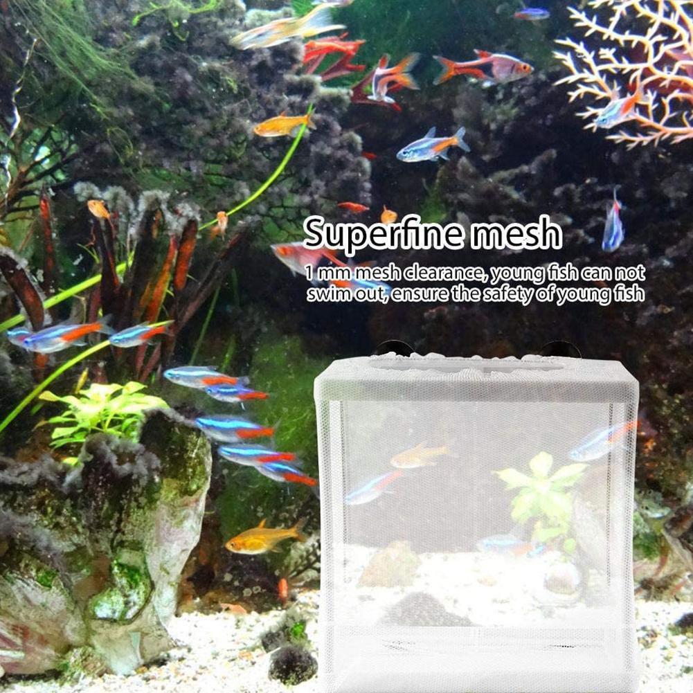Hatchery Isolation Box for Aqu - огляд і ціна Aquarium Fish Jar