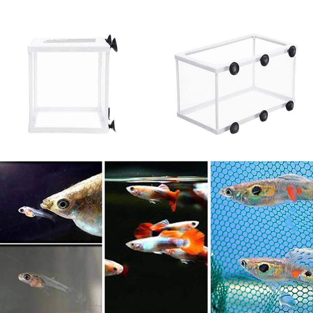 Hatchery Isolation Box for Aqu - огляд і ціна Aquarium Fish Jar