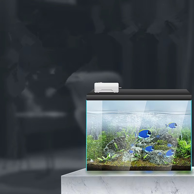 220V/110V 3W/8W/12W Ultra Sile - огляд і ціна Xl Aquarium Fish