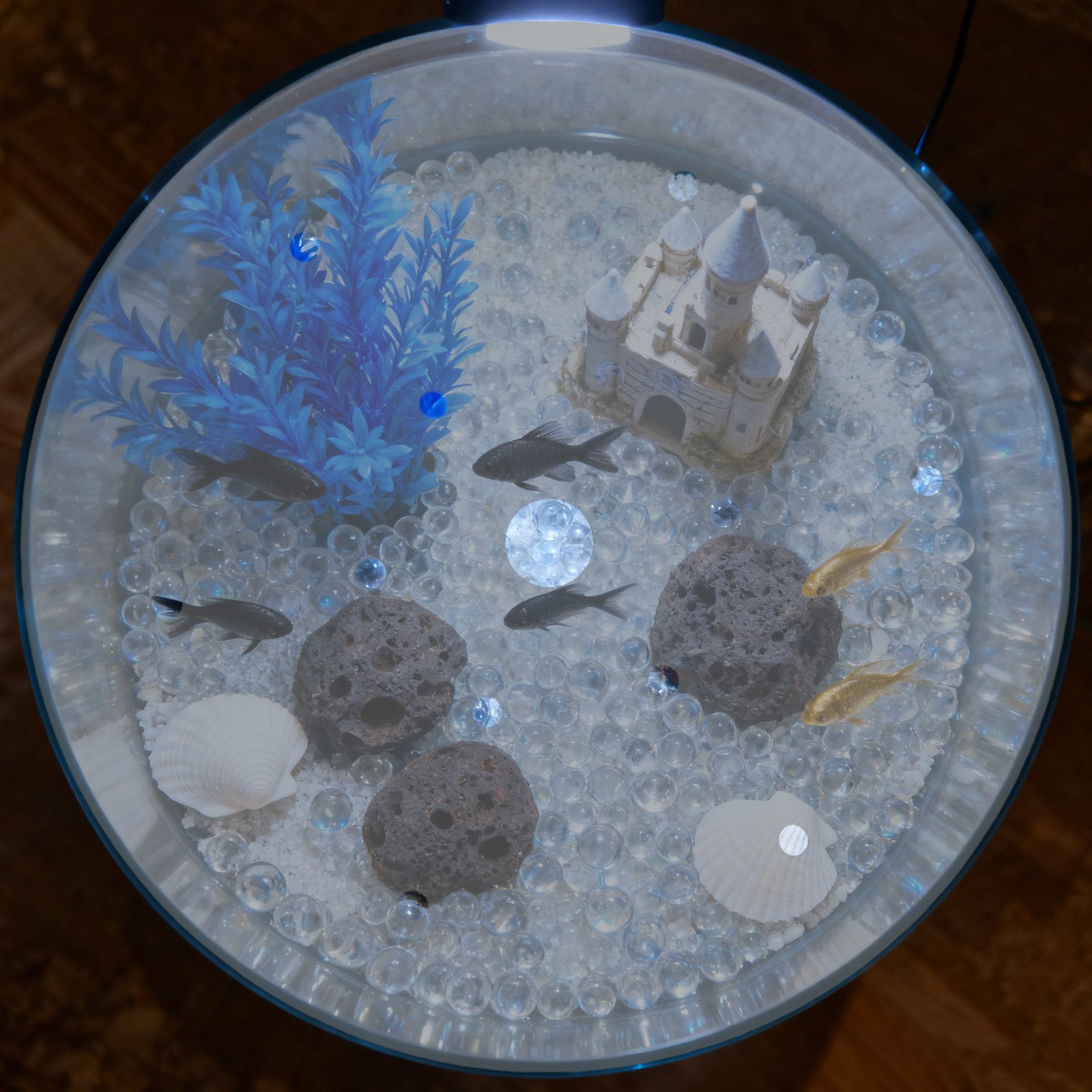 7 Inch Round Acrylic Fish Tank - огляд і ціна Aquarium Fish Jar