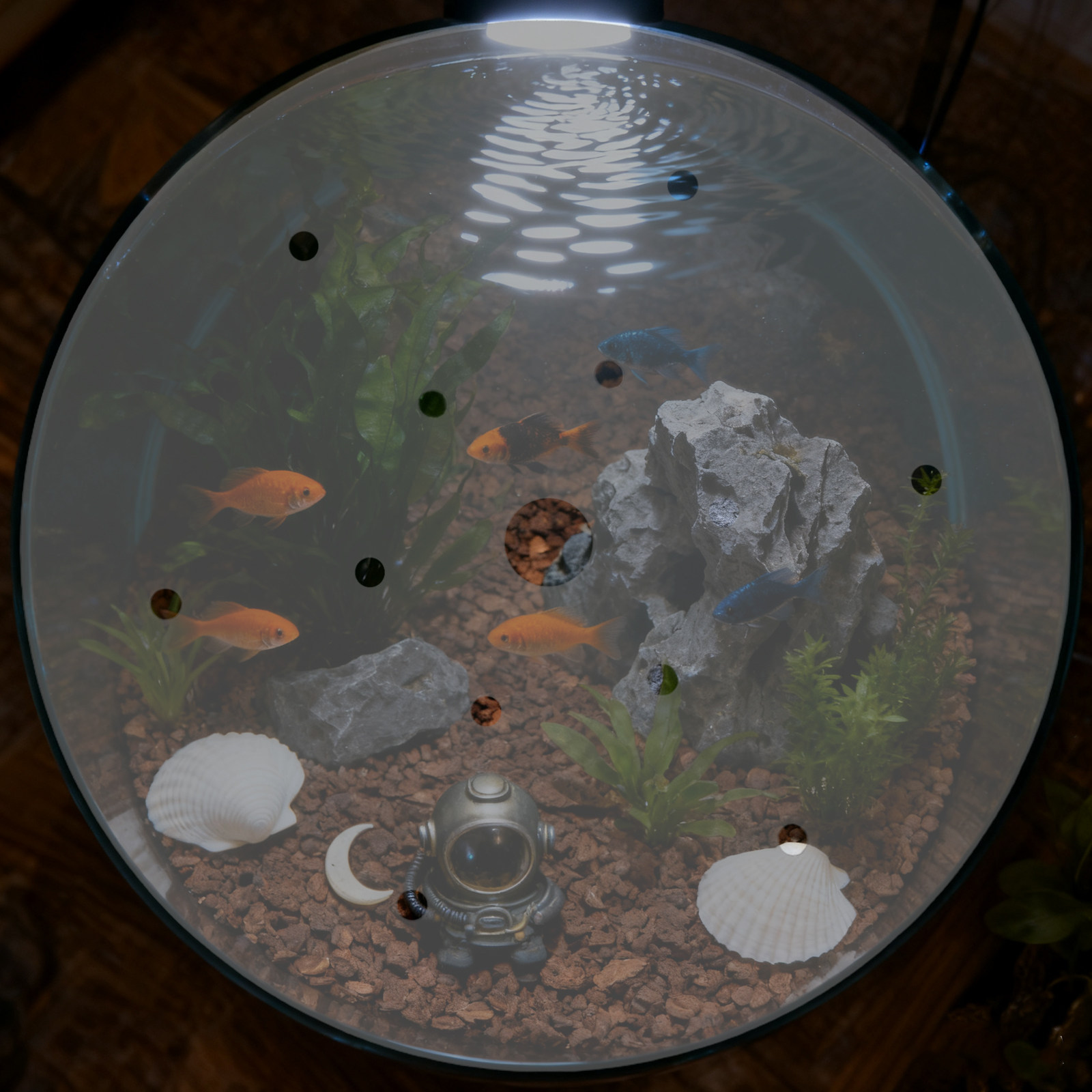 7 Inch Round Acrylic Fish Tank - огляд і ціна Aquarium Fish Jar